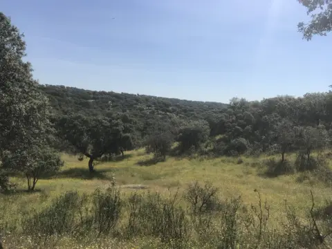 Finca rústica en Plasencia