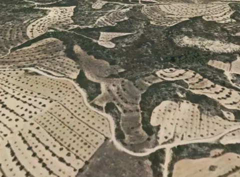 Finca rústica en Maella