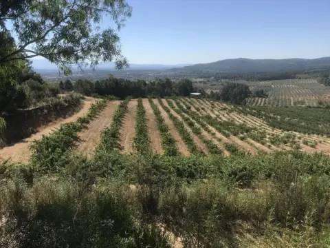 Finca rústica en Santa Cruz de Paniagua
