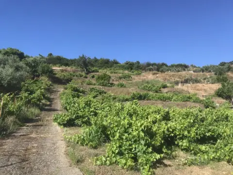 Finca rústica en Malpartida de Plasencia