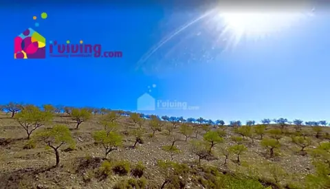 Finca rústica en El Gor