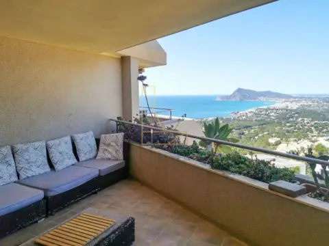 Pis – Altea