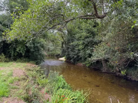 Finca rústica en calle A Veiga