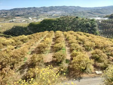 Finca rústica en Hispanidad-Vivar Téllez-Nuevas Urbanizaciones
