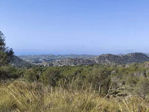 Finca rústica en calle Robelles