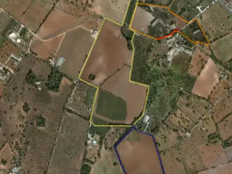 Finca rústica en Llucmajor Interior