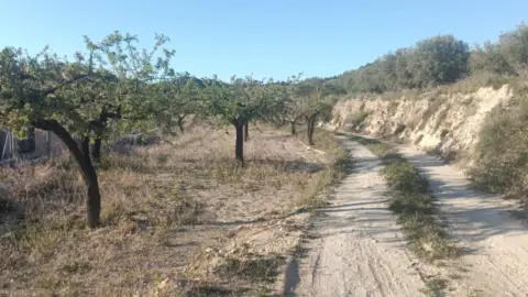 Finca rústica en Relleu