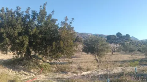 Finca rústica en Relleu