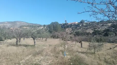 Finca rústica en Relleu