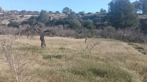 Finca rústica en Relleu