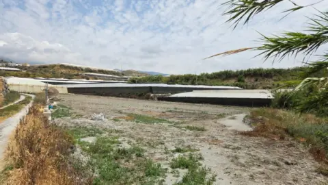 Finca rústica en Zona Norte