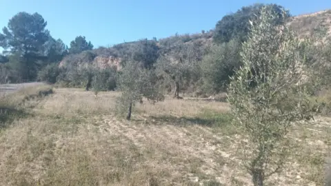 Finca rústica en Relleu