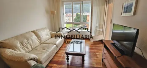 Piso en Oriñón-Allendelagua