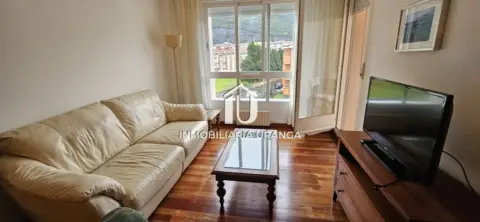 Piso en Oriñón-Allendelagua