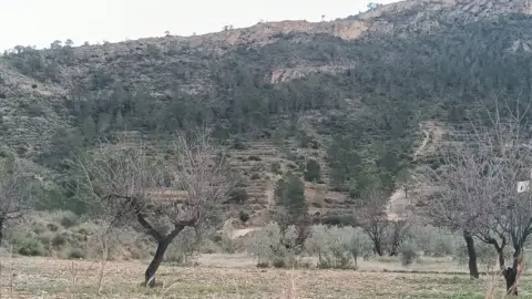 Finca rústica en calle Macaroves