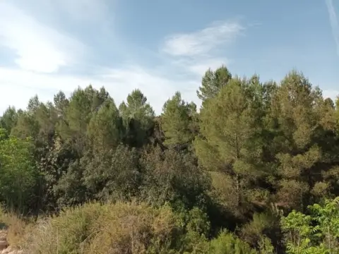 Finca rústica en calle Les Alqueries 7, nº 6