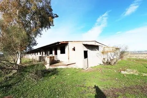Finca rústica en Alcaudete de La Jara