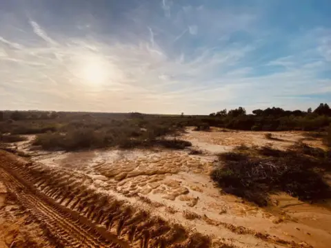 Finca rústica en Niebla