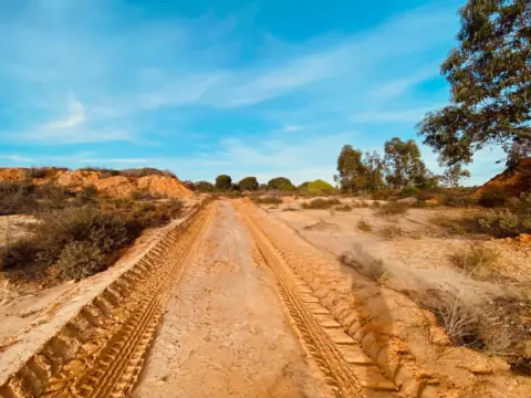 Finca rústica en Niebla