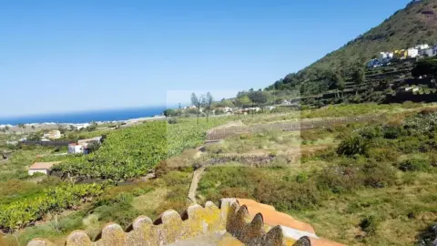 Finca rústica en Núcleo
