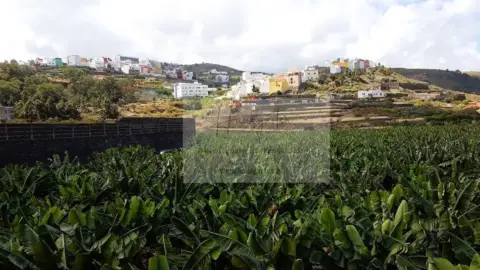 Finca rústica en Núcleo