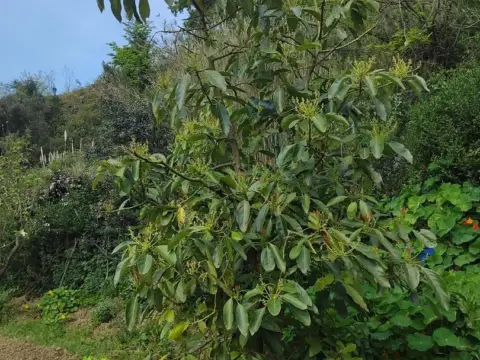 Finca rústica en San Mamés