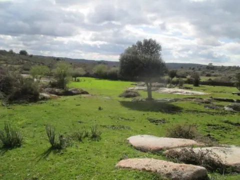 Rural Property in San Felices de los Gallegos