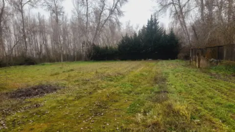 Finca rústica en Moraleja del Vino