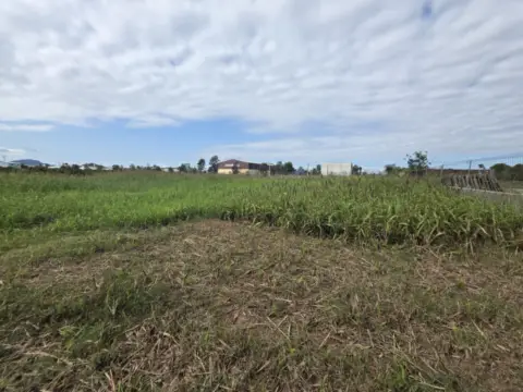 Finca rústica en Sueca