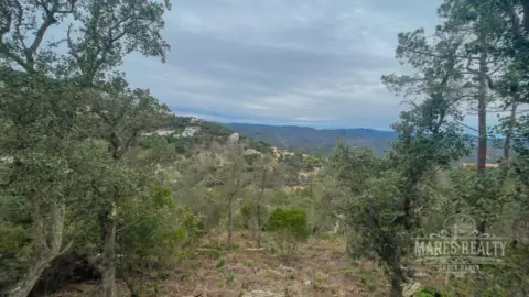 Terreno en Barri dels Pescadors