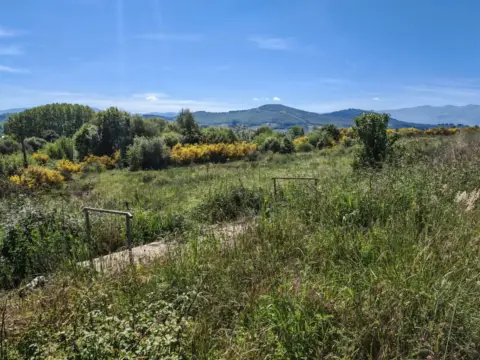 Finca rústica en Centro