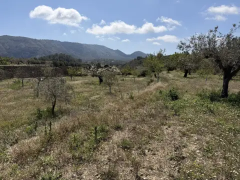 Finca rústica en Relleu