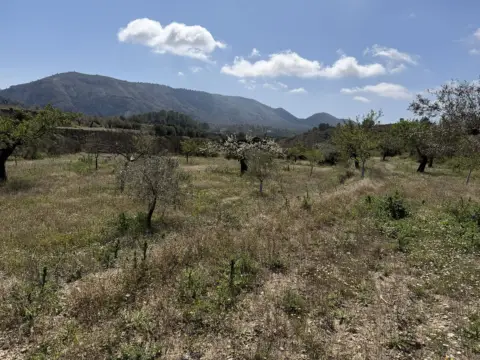 Finca rústica en Relleu