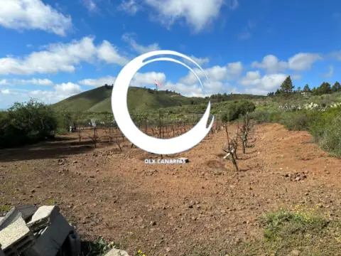 Finca rústica en Charco del Pino