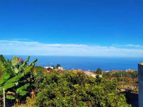 Finca rústica en Icod de Los Vinos