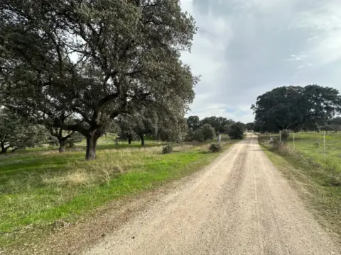 Finca rústica en Calera y Chozas