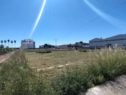 Terreno en Sollana