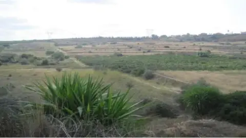 Finca rústica en calle Alt Monserrat