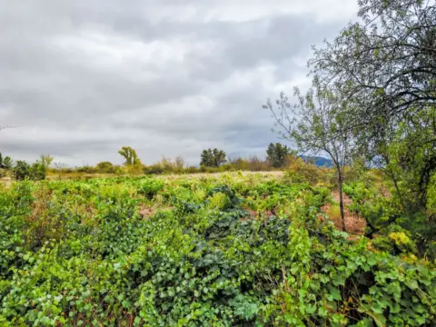 Finca rústica en Ponferrada
