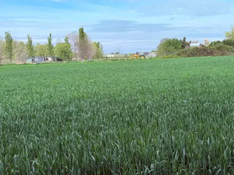 Finca rústica en Casetas-Garrapinillos-Monzalbarba