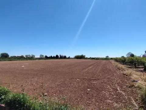 Finca rústica en Sollana