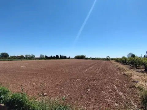 Finca rústica en Sollana