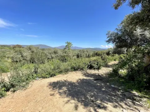 Finca rústica en Malpartida de Plasencia