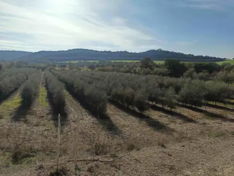 Finca rústica en Estadilla