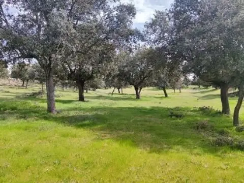 Finca rústica en Maello