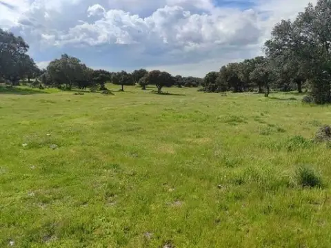 Finca rústica en Maello