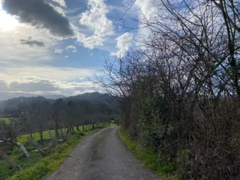 Finca rústica en Antrialgo