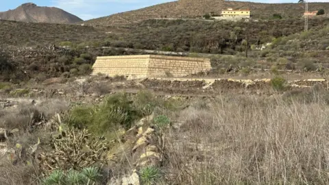 Finca rústica en Aldea Blanca