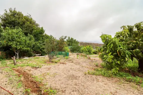Finca rústica en La Zarza