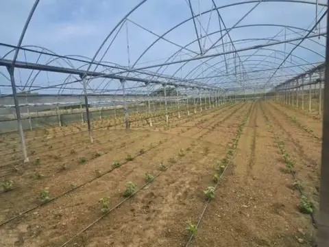 Finca rústica en Parroquias